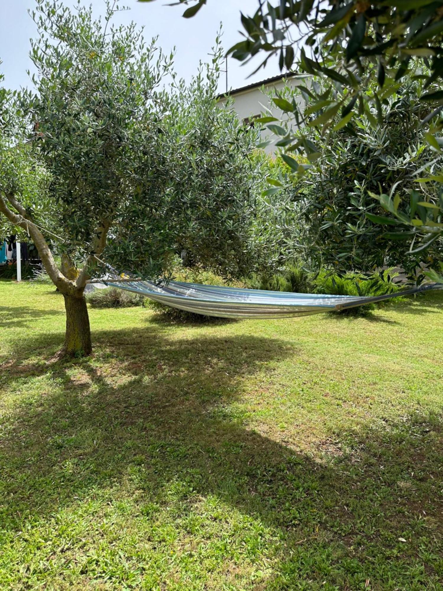 Apartment Karolina - Green Oasis Pula Exteriér fotografie